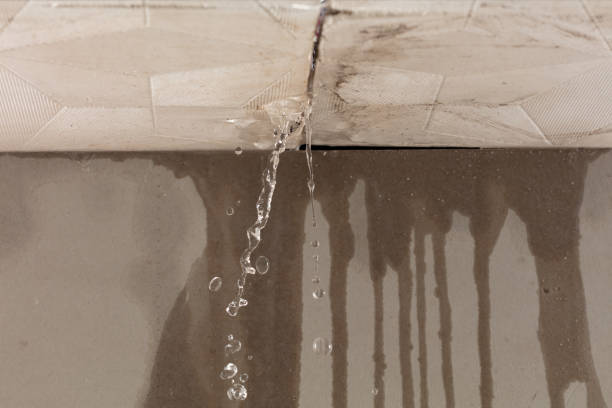 Professional Sewage Cleanup technician working in Santa Clara, UT